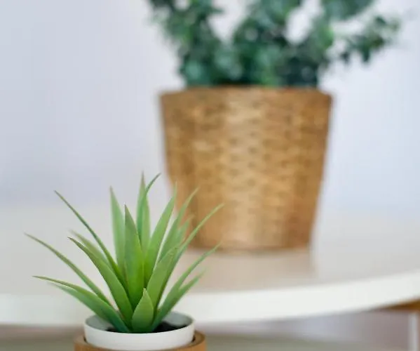 Casa Ema - No Stress Holidays شقة لاجاريس