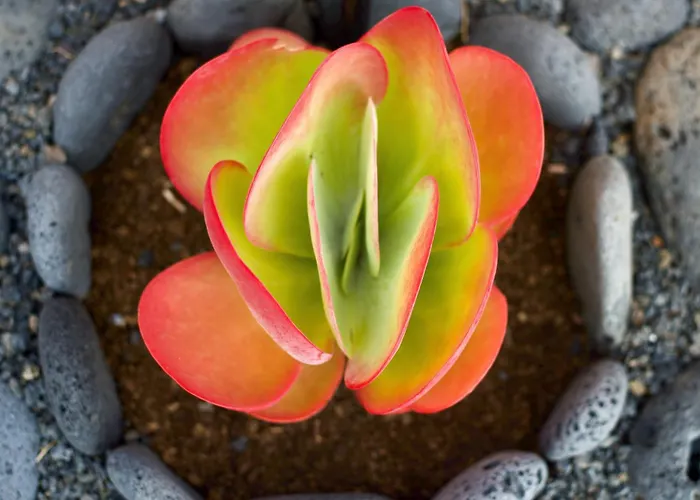 Apartment Casa Ema - No Stress Holidays