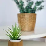 Casa Ema - No Stress Holidays Διαμέρισμα Lajares