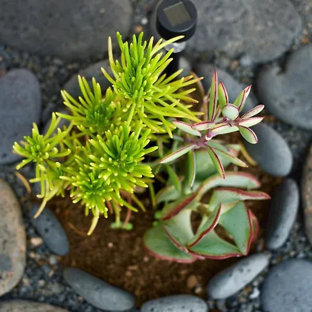 Casa Ema - No Stress Holidays * Lajares