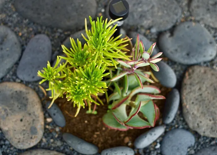 Casa Ema - No Stress Holidays * Лахарес